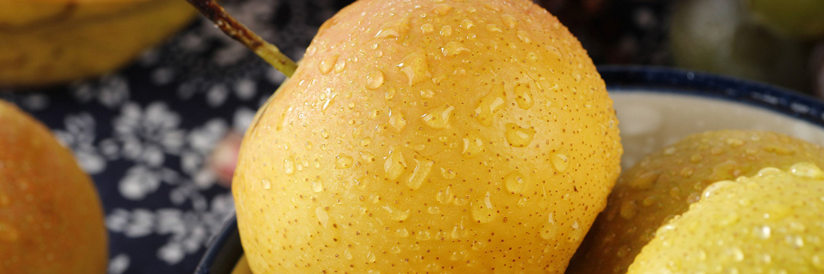 樸欣水溶肥產(chǎn)品優(yōu)勢(shì)