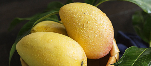 含有植物必需的微量元素，有機(jī)養(yǎng)分，是全面的肥料