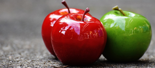 增產(chǎn)抗病，肥效快、肥效持久改善農(nóng)產(chǎn)品品質(zhì)，提高收益